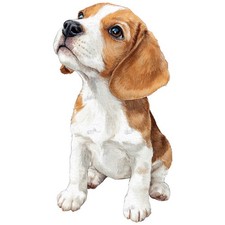 2x Sticker Beagle Car Sticker