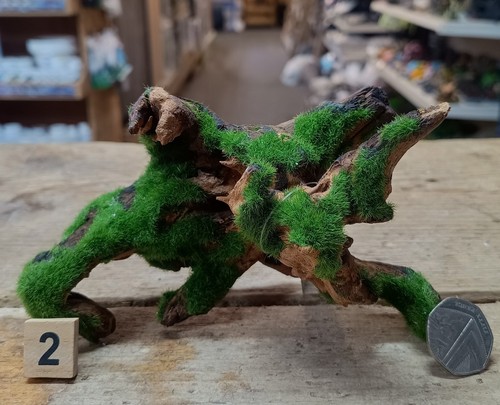 Kleine natürliche moorholz - kleine,