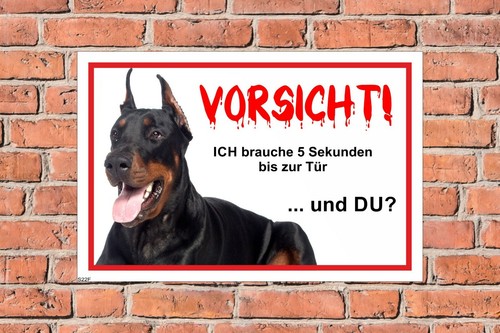 Schild hund dobermann - schild,