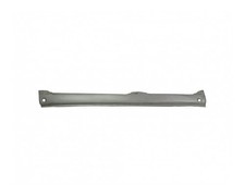 Einstiegsblech Schweller