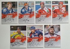 DEL 2012/13 Authentic