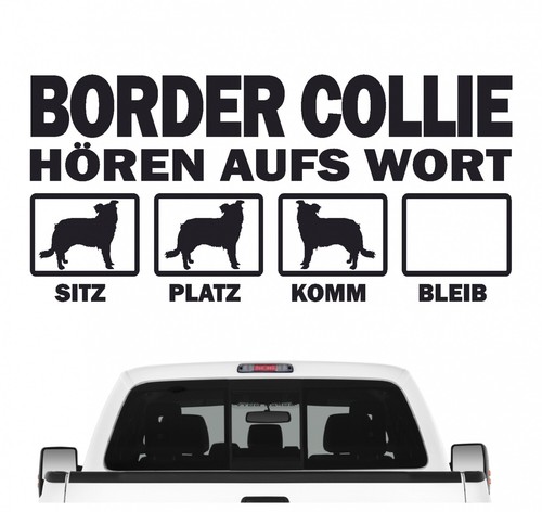 Border collie sheepdog - border, hört