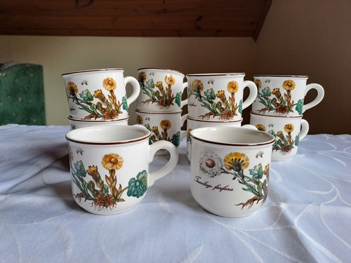 Villeroy boch botanica 10 - boch,