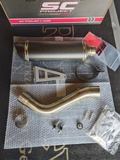 SC PROJECT Auspuff Oval Carbon