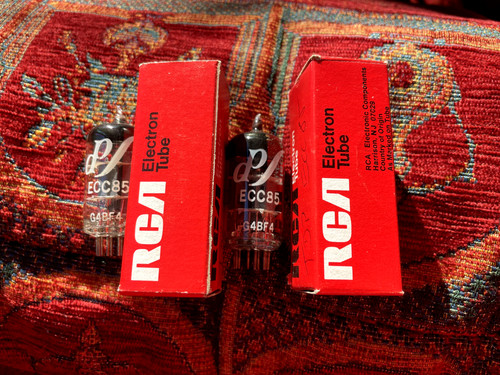 Perfect pair ear tdp - 1,