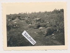 Foto aus Nachlass schwere