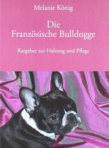 Die französische bulldogge - französische,