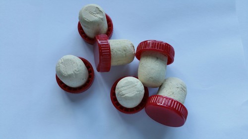 Kunststoff weinflasche - kunststoff,