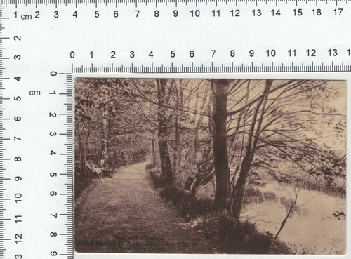 Historische postkarte teich - historische,