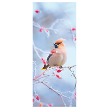 Dekobanner Textilbanner