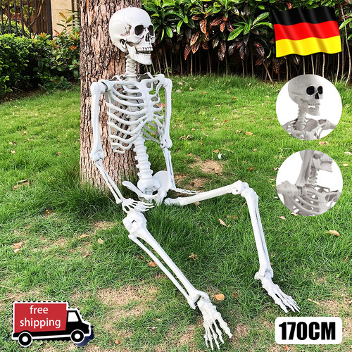 Skelett halloween lebensgroß - skelett,