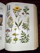 Altes Kräuterbuch "Das große Buch der Naturheilkunde" aus 1977, Heilkuren Fasten