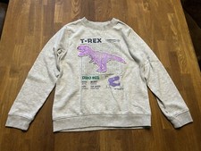 Kinder Pullover Gr.134/140 H&M grau Dino