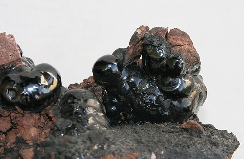 Schöner brauner glaskopf - schöner,