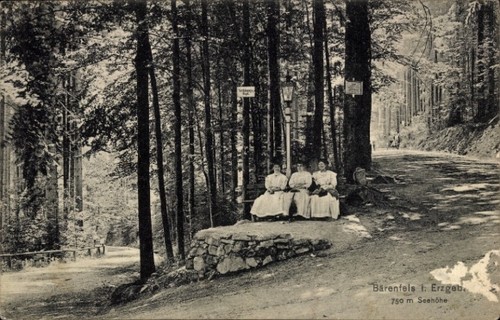 Bärenfels altenberg im - bärenfels,