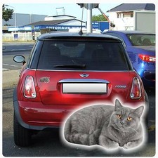 Autoaufkleber Britisch Kurzhaar grau Katze Kitty Sticker Digitaldruck DA054