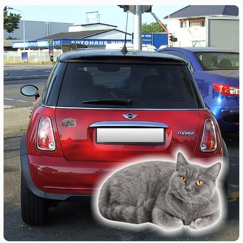 Autoaufkleber britisch - autoaufkleber,