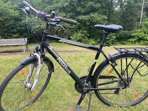 Pegasus piazza fahrrad - piazza, 55cm