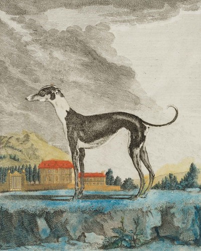 Sève das - sÈve,