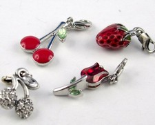 Charm Anhänger fürs Armband oder Kette Thema Garten *Früchte und Blume* Auswahl 