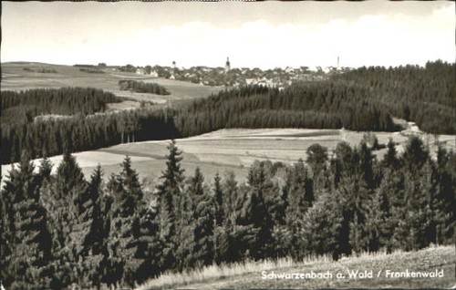 Schwarzenbach wald 1962 - wald, x