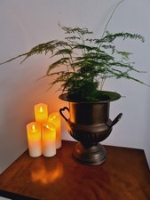 Vintage Champagner Wein Eimer