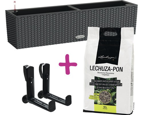 Balkonkasten staterset lechuza - balkonkasten,