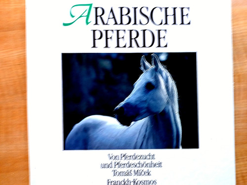 Pferde berühmte araber - pferde:,