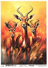 Reispapier A4 Strohseide