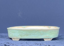 Bonsai Shohin Bonsaischale