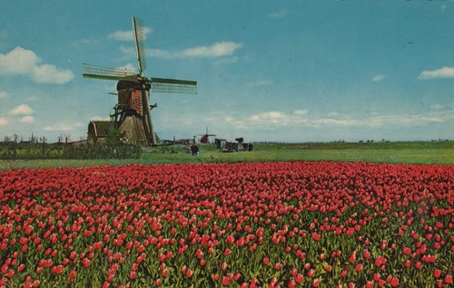 Holland windmühle - holland,