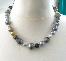 Tahiti Südsee Harlekin