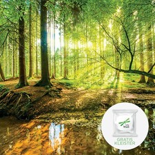 Tapete WALD Vlies Fototapete