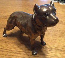 Bullterrier ,Pitbull, Hund