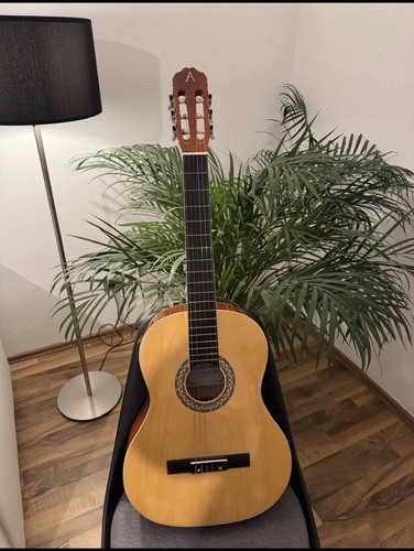 Elektro akustische gitarre - elektro,
