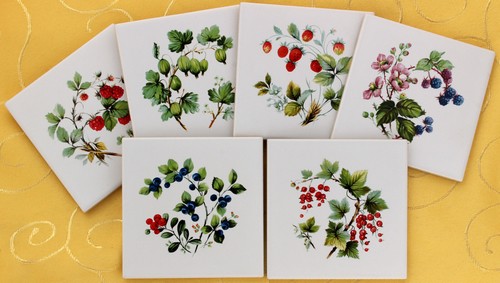 10x10 fliesen dekor beeren - 10x10,