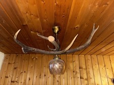 Lampe aus Hirschgeweih mit 1 Leuchte / Handarbeit / Jagdzimmer – Kellerfund