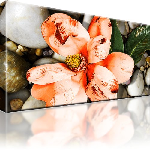 Blumen natur bild - blumen, bilder