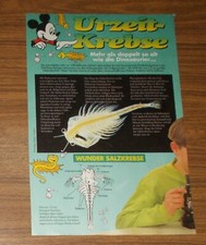 Seltener Bericht | Artikel Urzeitkrebse Doppelt so alt wie Dino Sea-Monkeys 1994