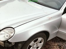 Kotflügel links Mercedes Benz