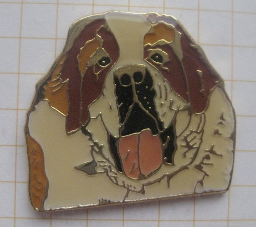 Bernhardiner hund - bernhardiner, /
