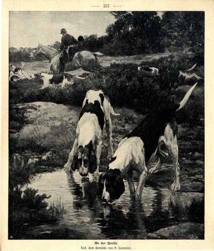 Der quelle jagdhunde - an,