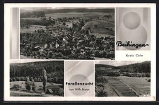 Ansichtskarte Beihingen /Calw, Ortsansicht und Forellenzucht Wilh. Braun 