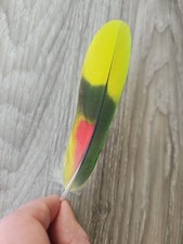 13,5 cm bunte 💚💛❤