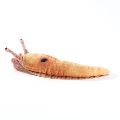 Mini bananenschnecke - mini,