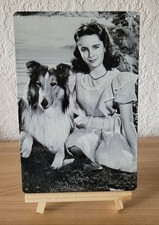 Lassie Blechschild --- 30 x 20