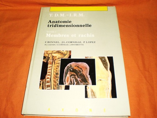 Dreidimensionale anatomie - dreidimensionale,