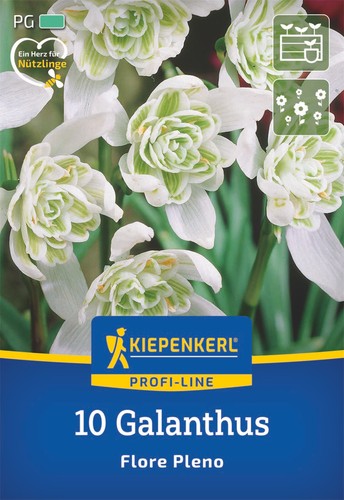 Kiepenkerl schneeglöckchen - kiepenkerl,