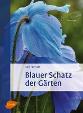 Blauer Schatz der Gärten |