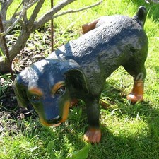 ROTTI pinkelnd 36 cm